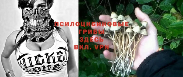 шишки Краснотурьинск