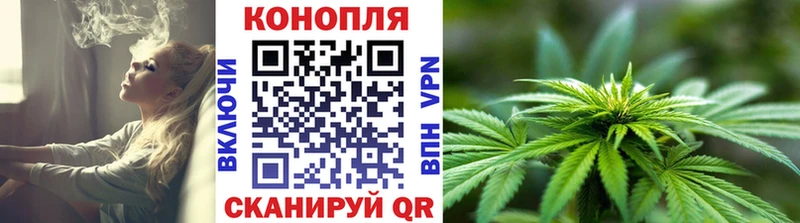 площадка наркотические препараты  Костомукша  Бошки Шишки MAZAR 